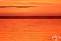 �������� ������� � ���� ������� ������ ������� �� ��� ����